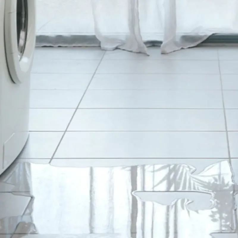 Appliance Leak Cleanup in Charlotte, MI