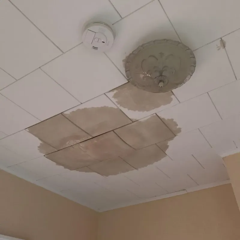 Ceiling Water Damage Repair in Charlotte, MI