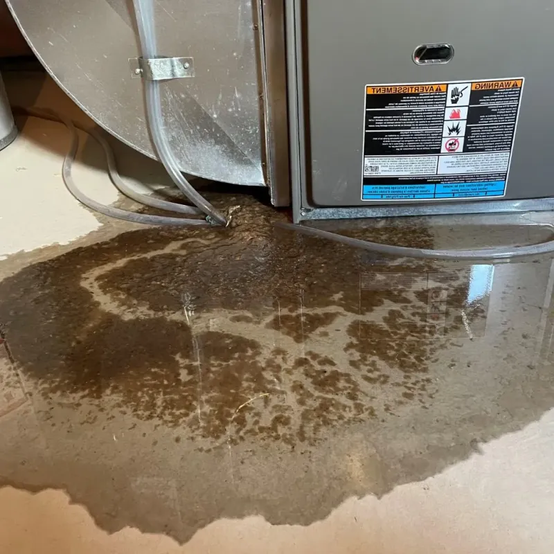 Pipe Burst and Leak Restoration in Charlotte, MI
