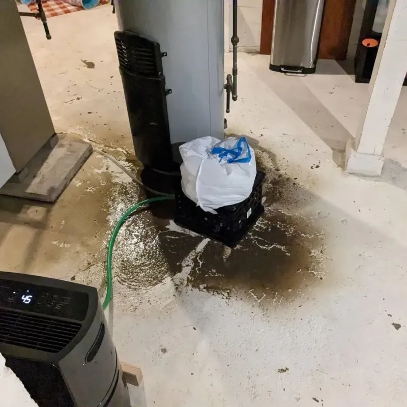 Sewage Backup Cleanup Service in Charlotte, MI